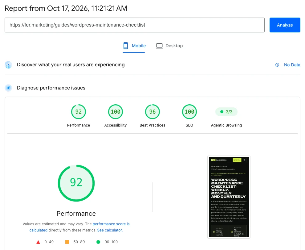 Mobile PageSpeed report for the maintenance guide showing performance 92 and accessibility 100