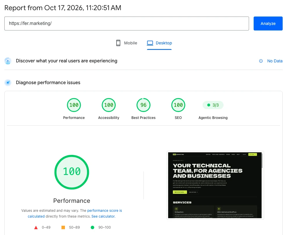 PageSpeed Insights desktop report for fer.marketing homepage, performance 100