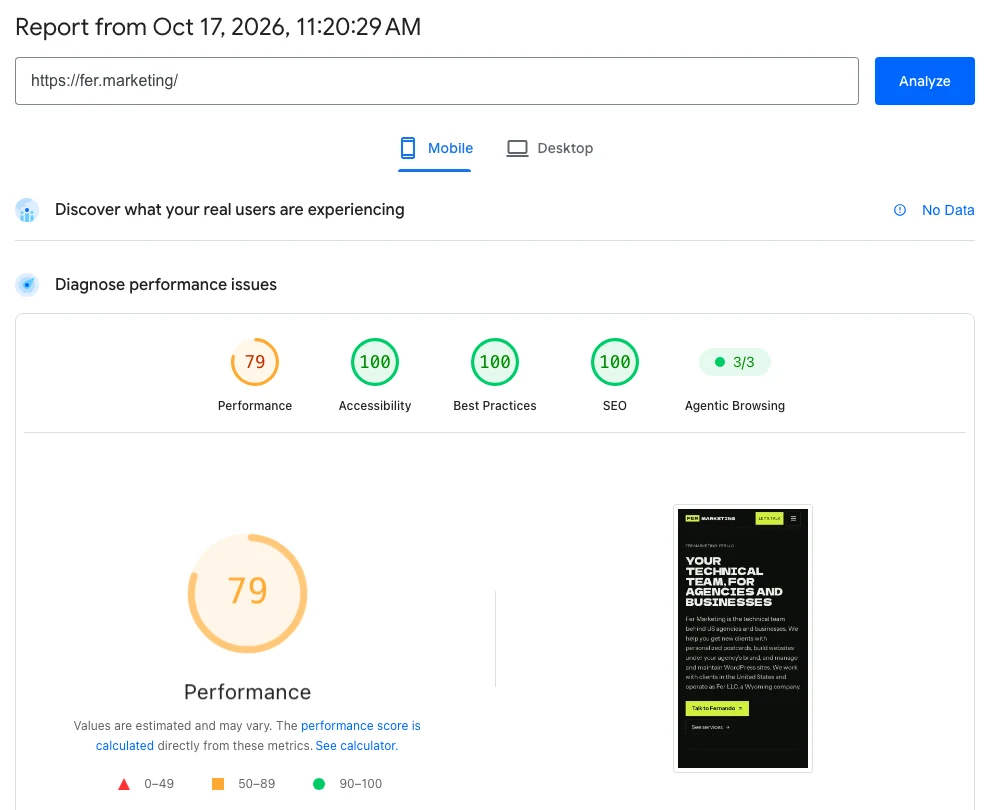 PageSpeed Insights mobile report for fer.marketing homepage, performance 79