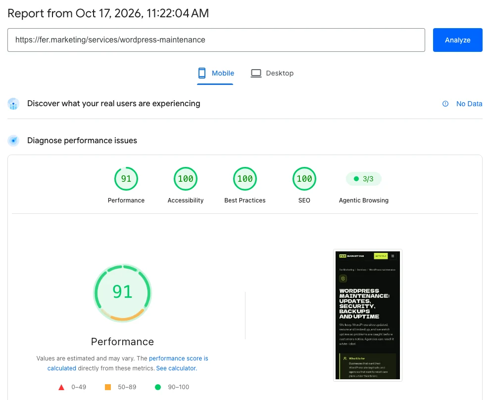 Fer Marketing maintenance service PageSpeed mobile report with performance 91