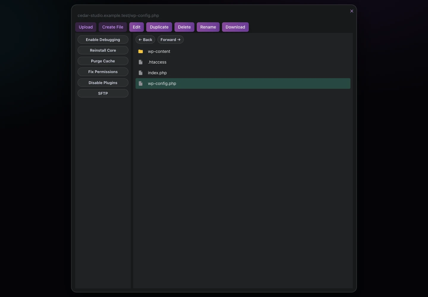 HolaWP · Archivos y diagnóstico · Datos de ejemplo