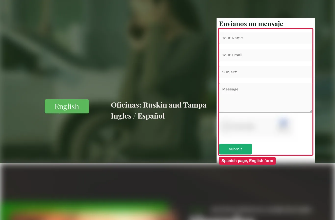 Another Spanish page, another English form: labels and button untranslated.